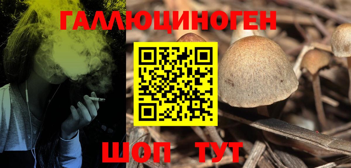 Галлюциногенные грибы прущие грибы  Вход с VPN  Лянтор 